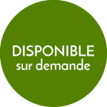 pastille